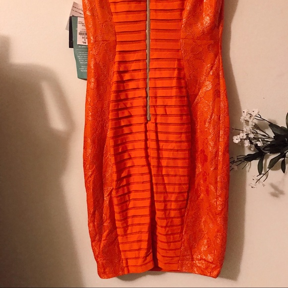 NWT Melrose Social Mandarin Dress gold accent - Picture 8 of 8